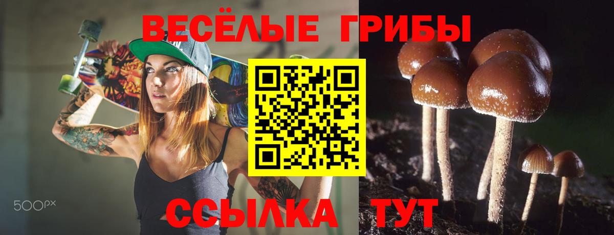 Галлюциногенные грибы прущие грибы  Вход с VPN  Галлюциногенные грибы Psilocybe  Благовещенск 